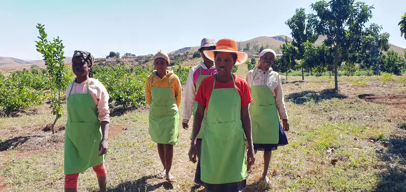 Plantation et environnement naturel